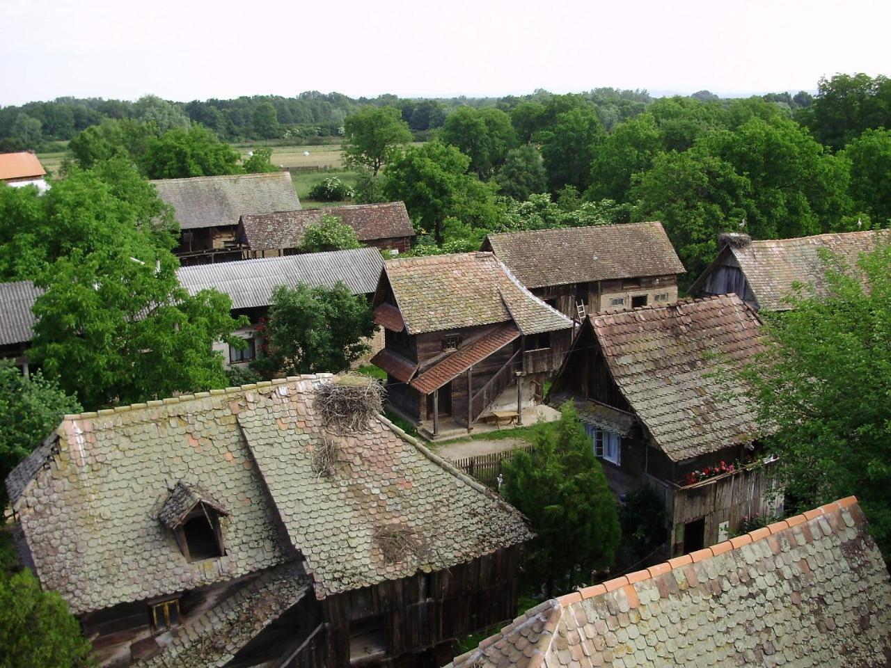 Tradicije Cigoc Hotel Bagian luar foto