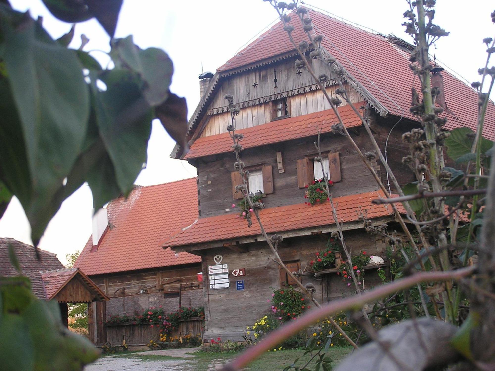 Tradicije Cigoc Hotel Bagian luar foto